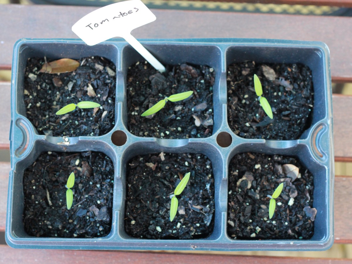 January 2020 Review: Spending & Savings&nbsp;Report