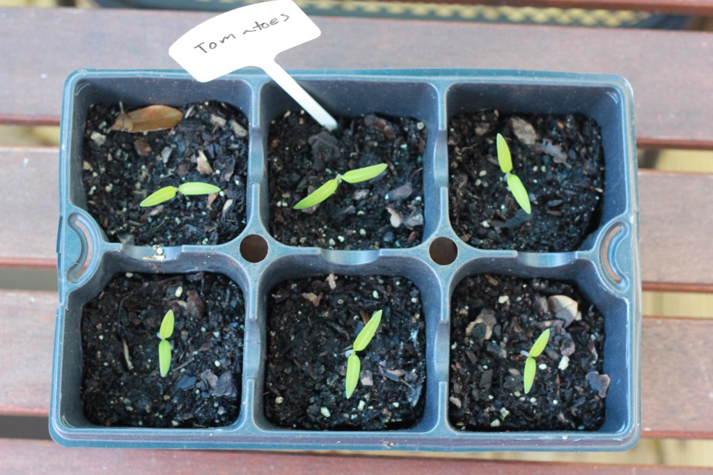 January Review: Spending & Savings Report - Butch on a Budget