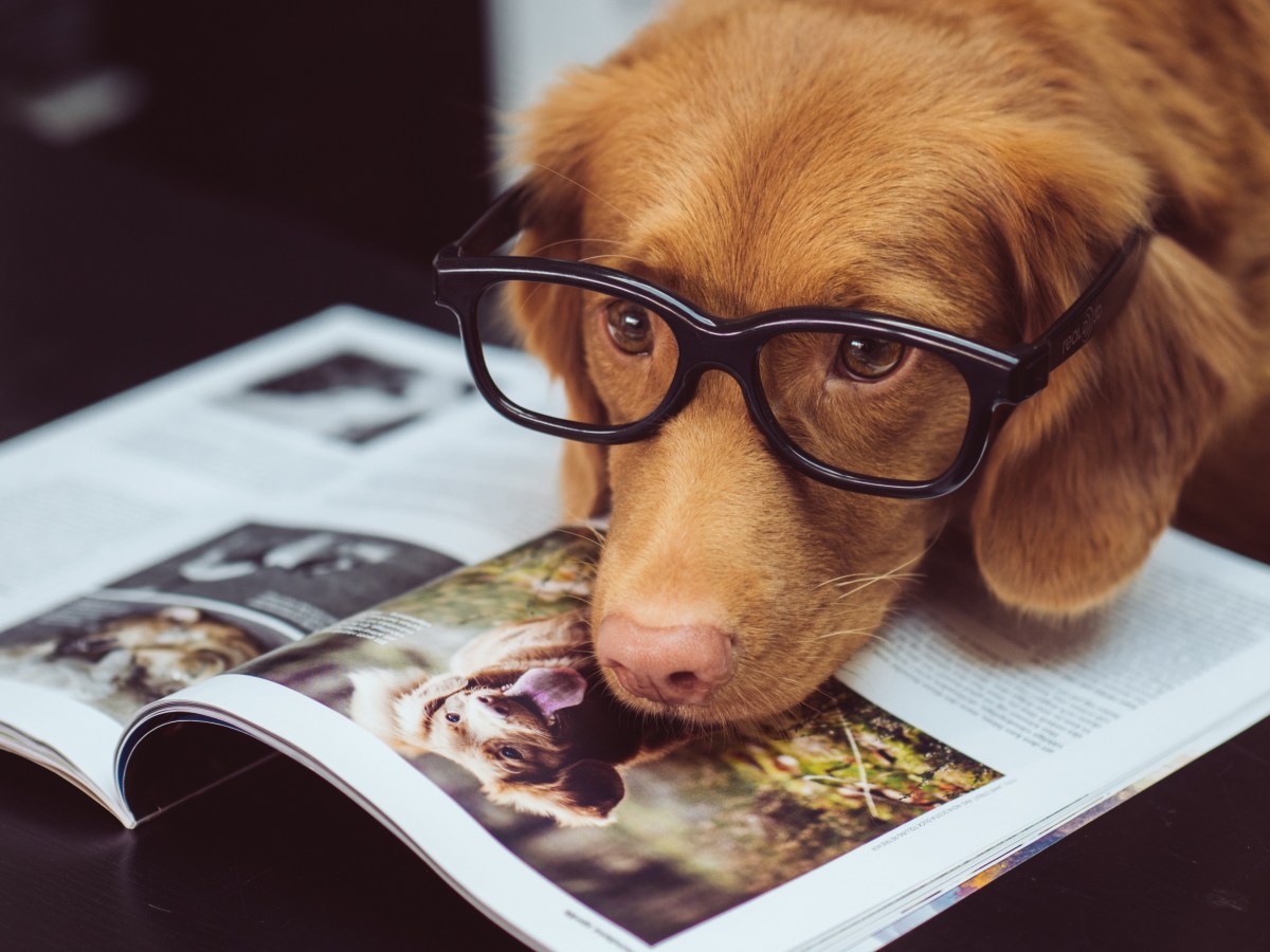 How Paying Attention Can Pay&nbsp;Off