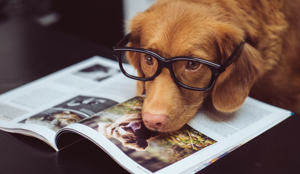 How Paying Attention Can Pay Off - Butch on a Budget