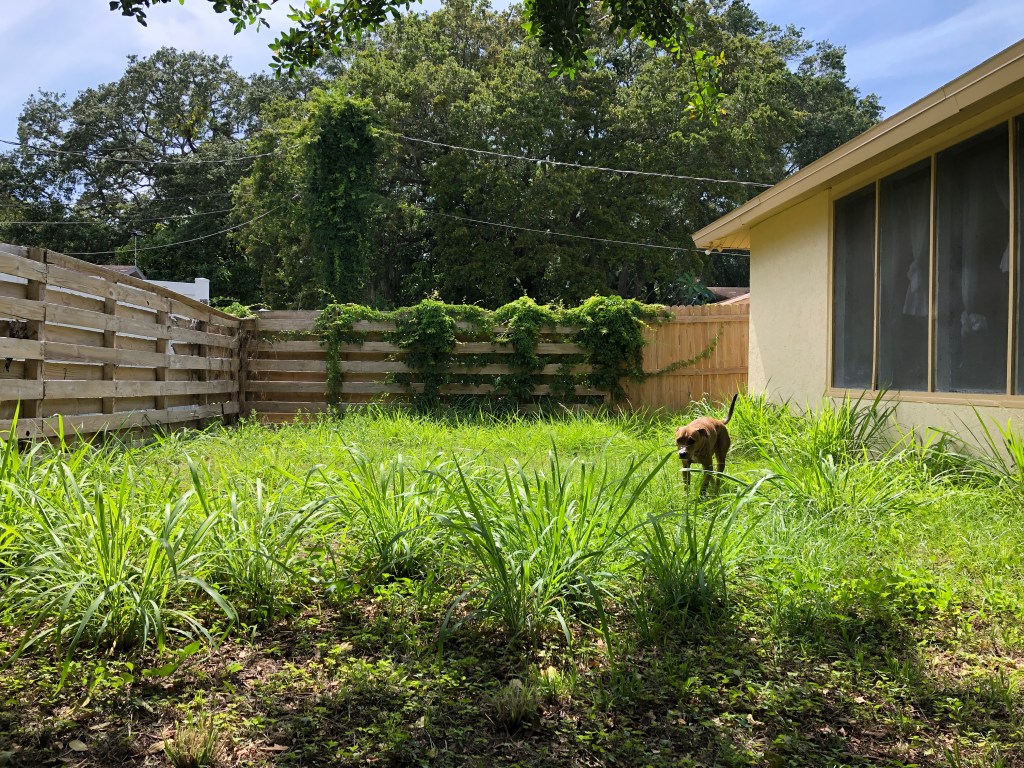 Back on the&nbsp;Budget