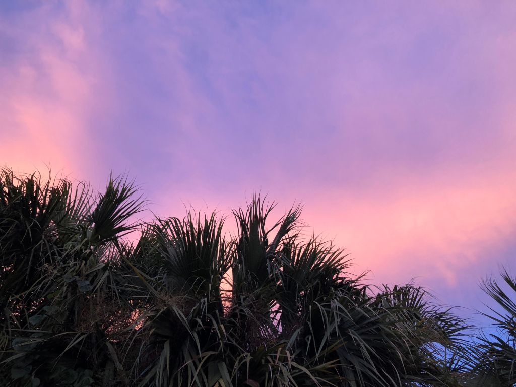 Butch on a Budget - High Interest Savings Accounts: What They Are and Why You Need One