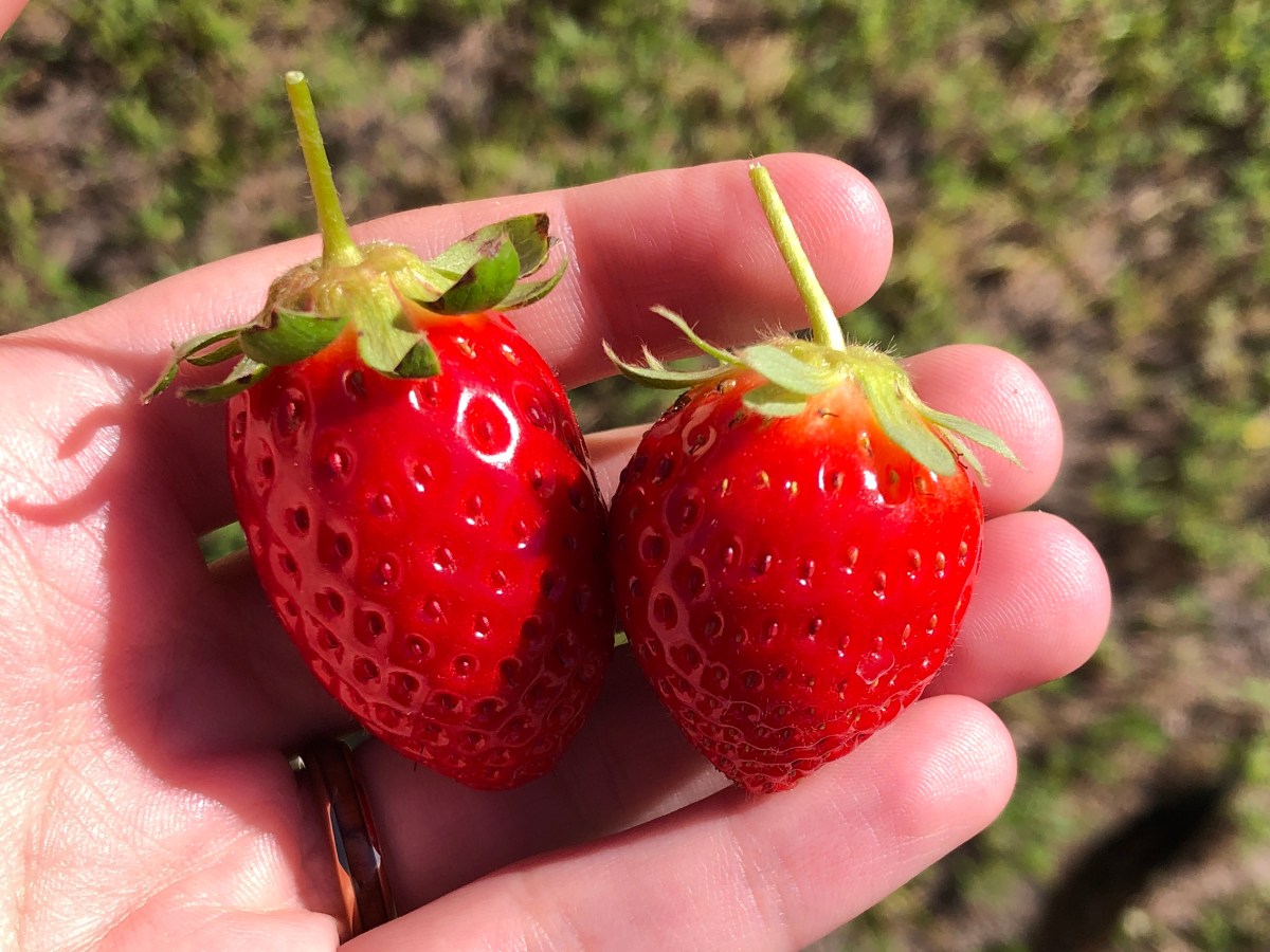 My 2021 Budget Recap • What I Earned, Spent, and Saved in&nbsp;2021