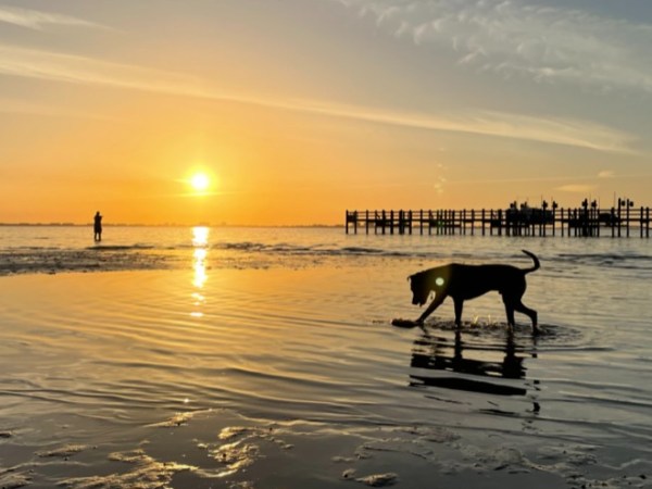 YNAB More Money Challenge: Final&nbsp;Results!