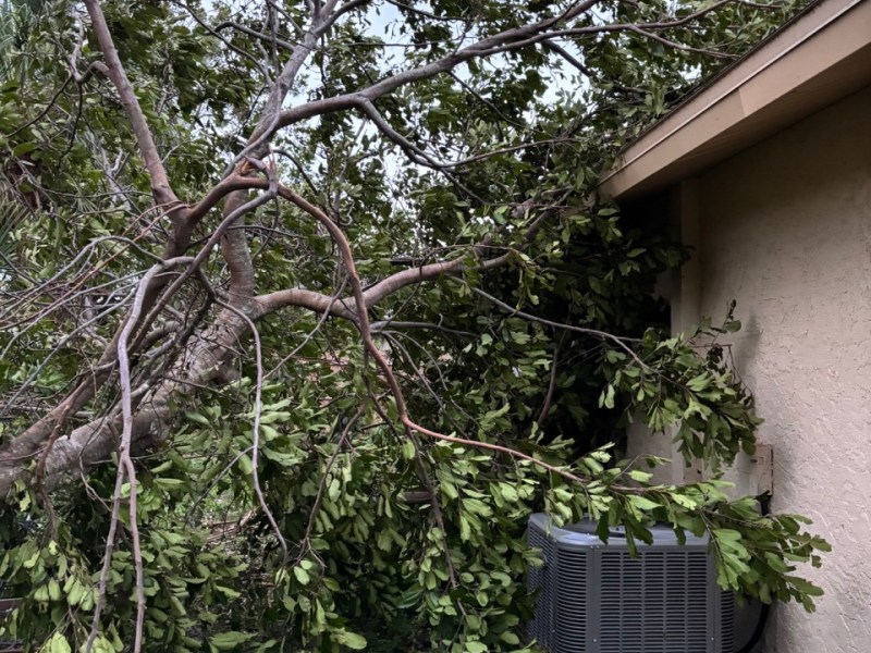 Thoughts On Financial Resilience After Hurricane&nbsp;Milton