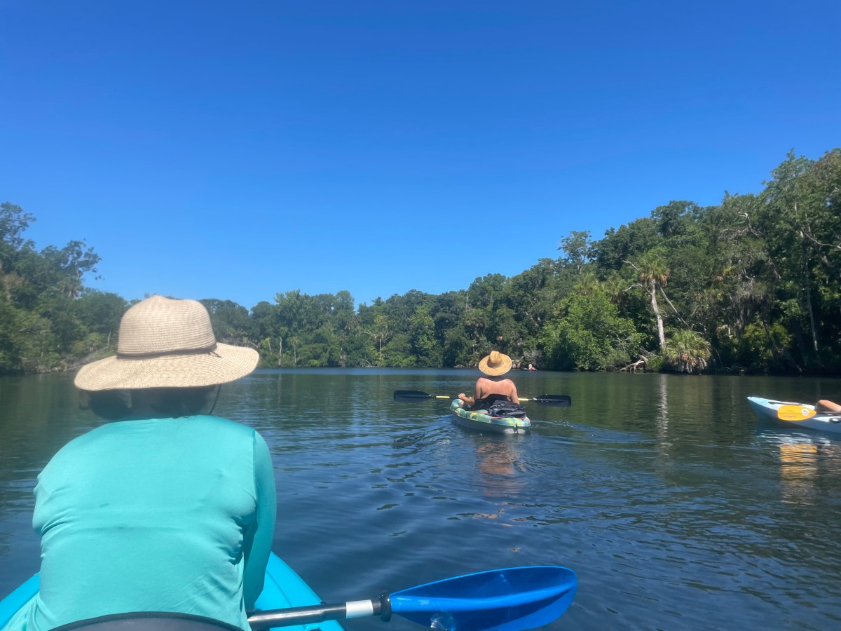 Purchase With The Everyday in Mind (Not the Once a Year Your Family Visits) 