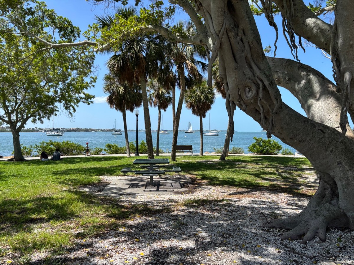 Financial Lessons From My&nbsp;Shower